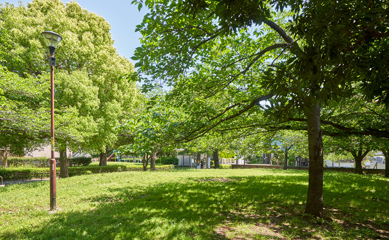 区立西新井公園