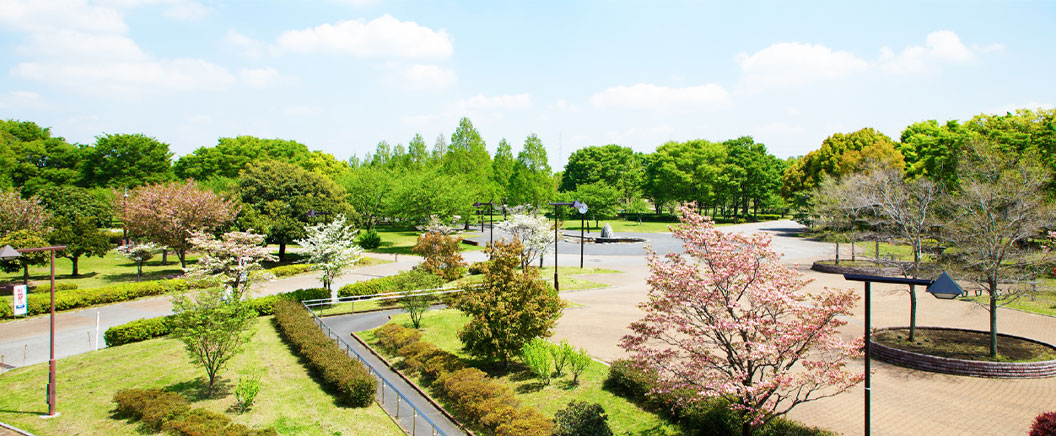 舎人公園