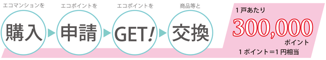 一戸あたり300,000ポイント