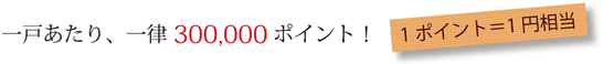 一戸あたり、一律300,000ポイント！　1ポイント＝1円相当