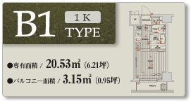 B1 type