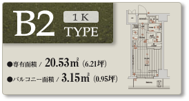 B2 type