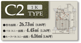 C2 type