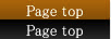pagetop
