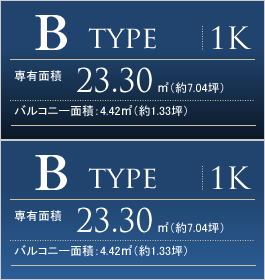 B type