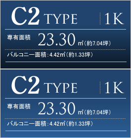 C2 type
