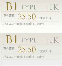 B1type