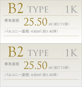 B2 type