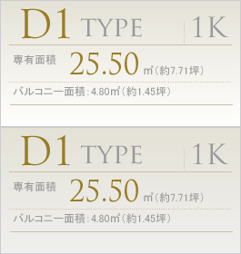 D1type