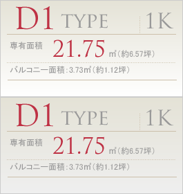 D1type
