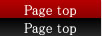 pagetop