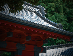 東京大学