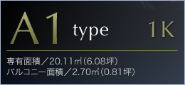 A1