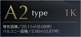A1
