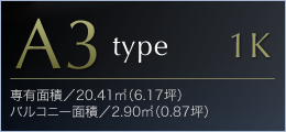 A1