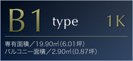 A1