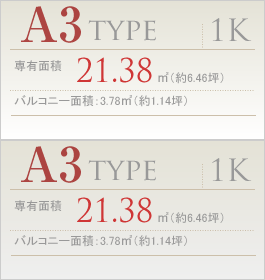 A3 type