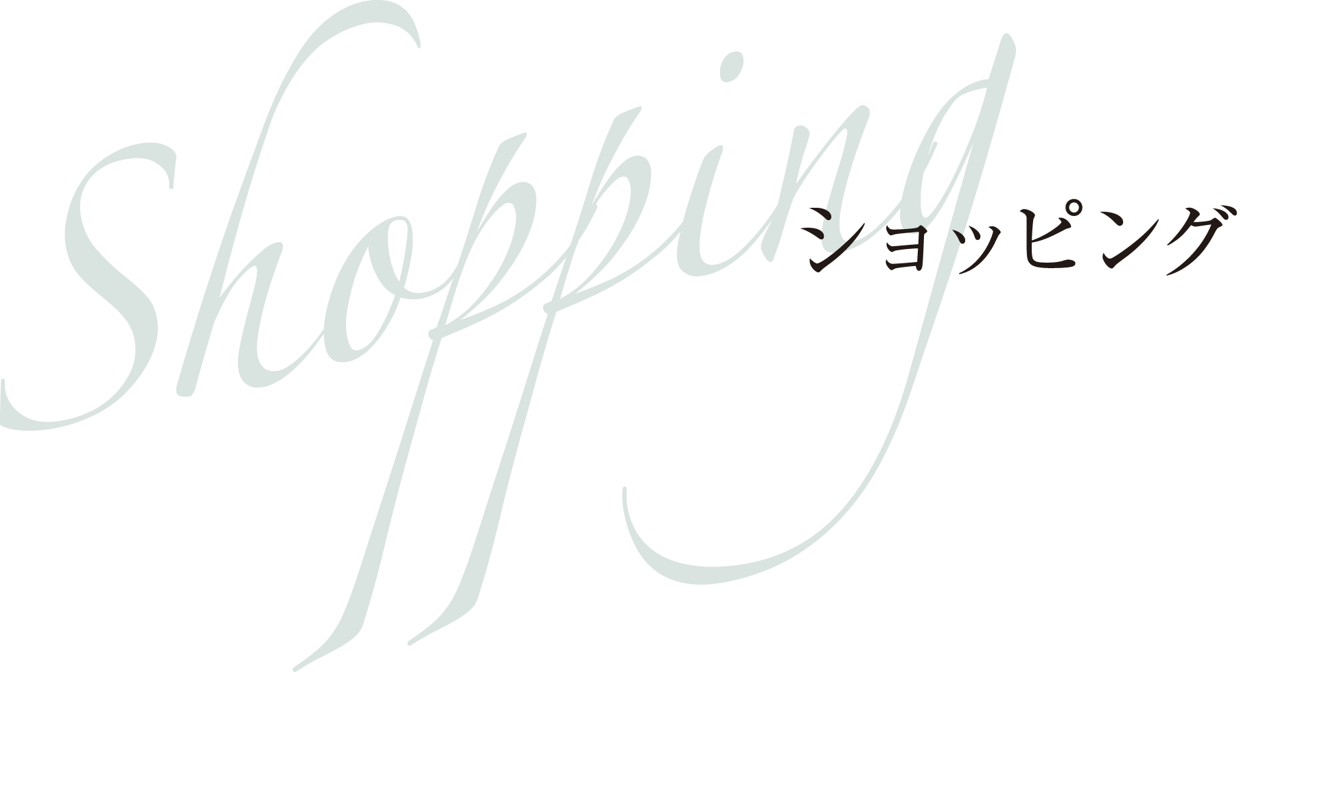 Shopping ショッピング