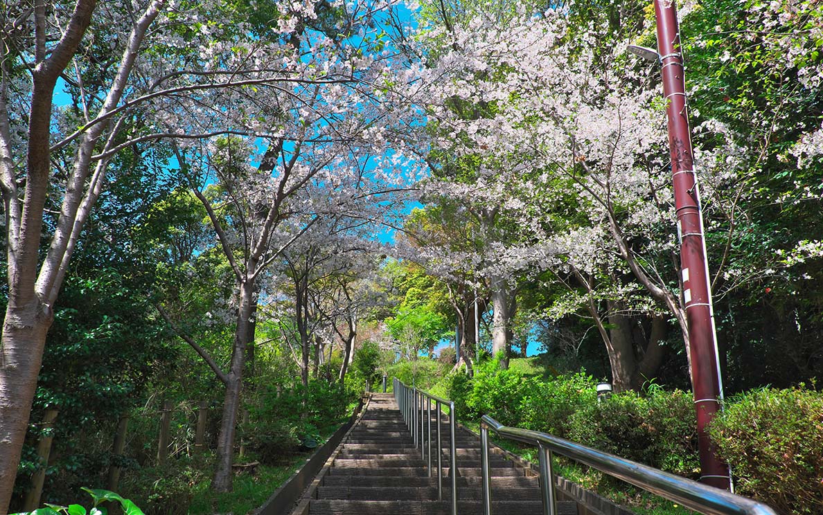 伊勢山緑地［伊勢⼭公園］