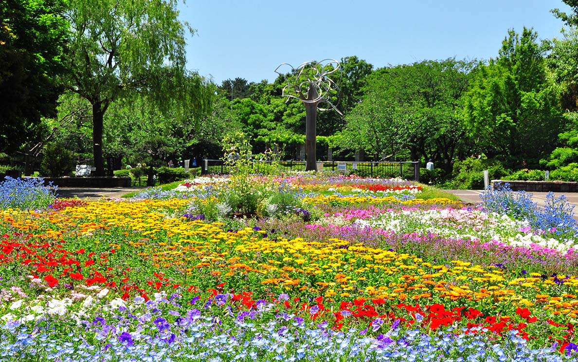⻑久保公園／都市緑化植物園・生物多用センター