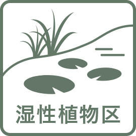 湿性植物区