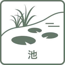 池