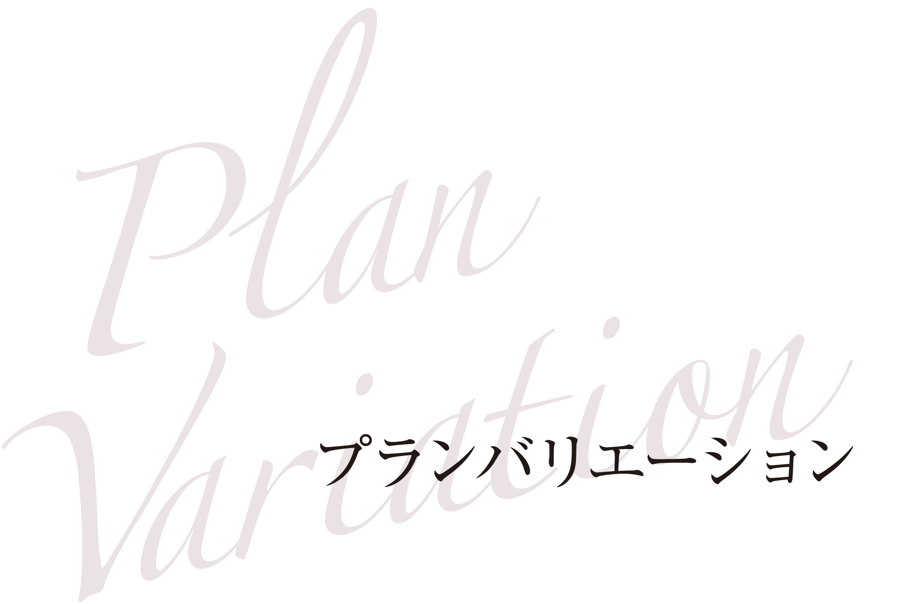 Plan Variation プランバリエーション