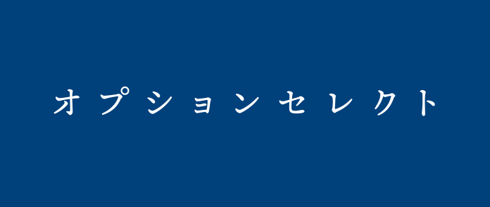 オプションセレクト