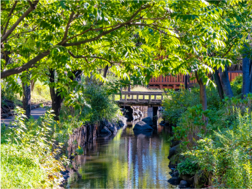 一之江境川親水公園