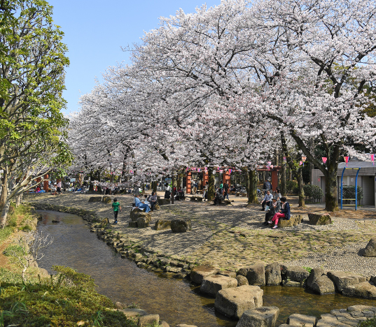 小松川境川親水公園（徒歩14分／約1,120m）