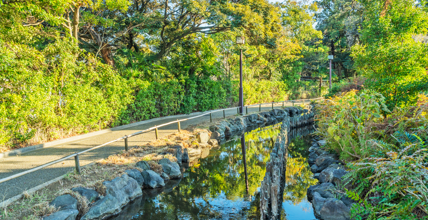 一之江境川親水公園（徒歩6分／約430m）