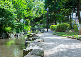 小松川境川親水公園