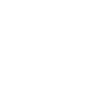 FlexibleStyle