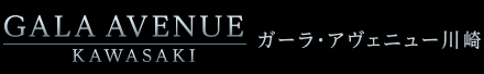 ガーラ・アヴェニュー川崎