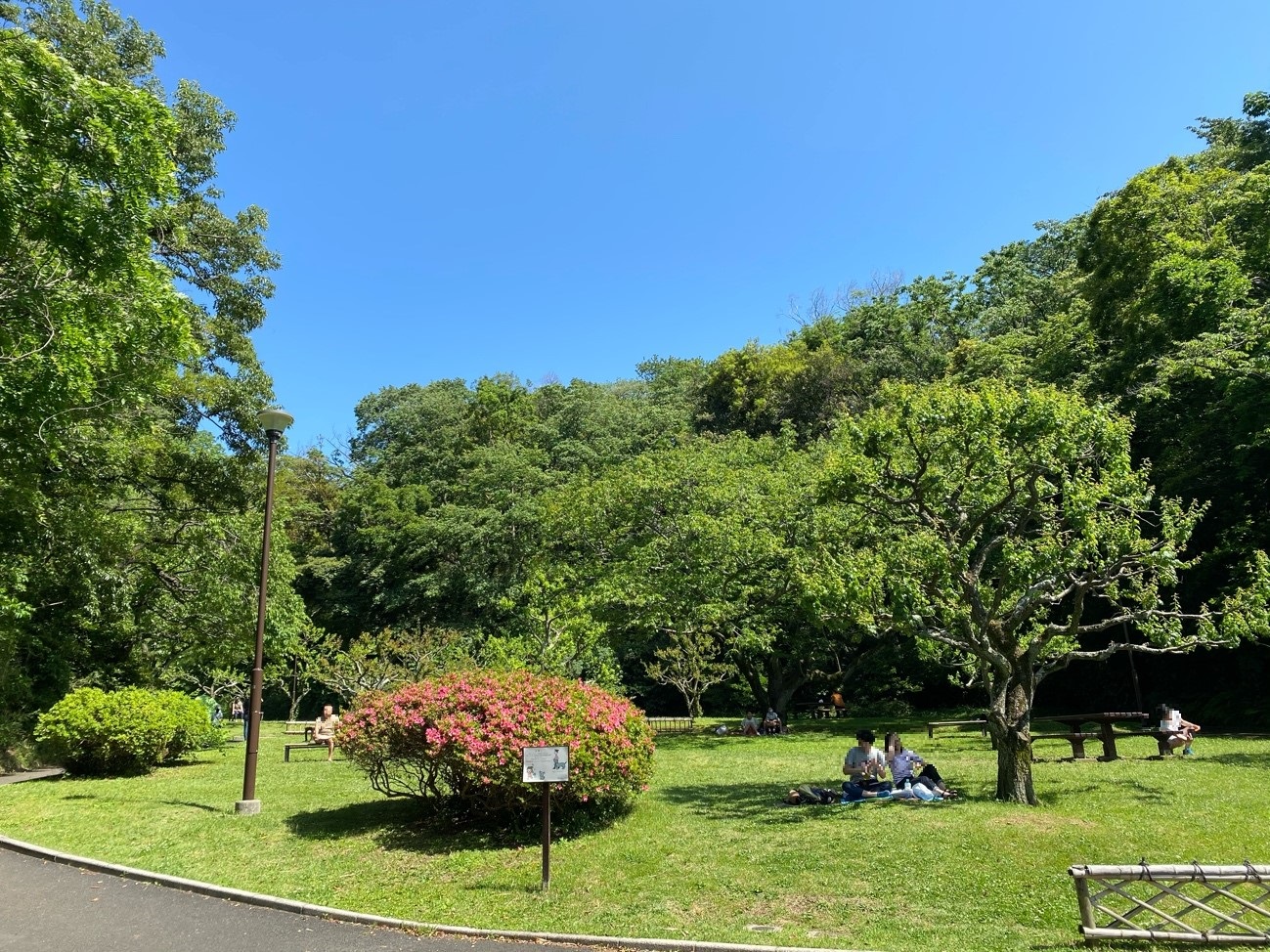 久良岐公園