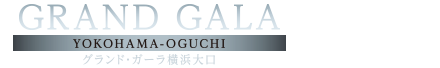 グランド・ガーラ横浜大口
