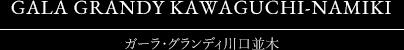ガーラ・グランディ川口並木