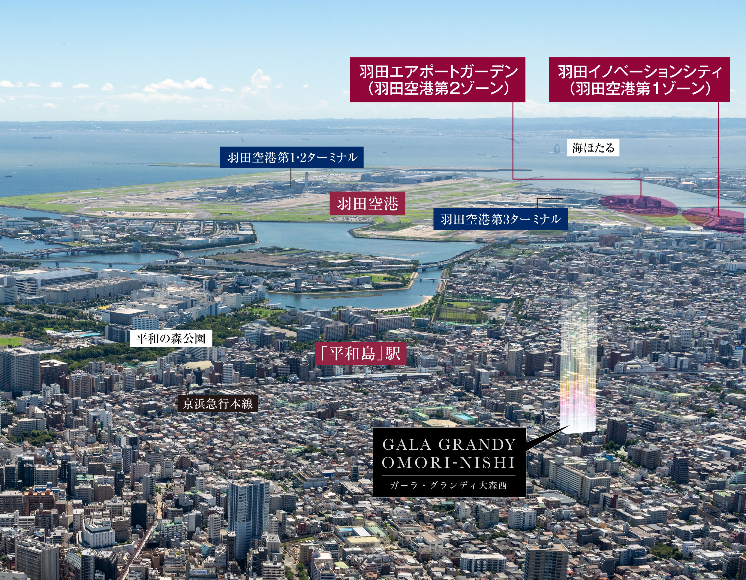航空写真（2021年8月撮影）