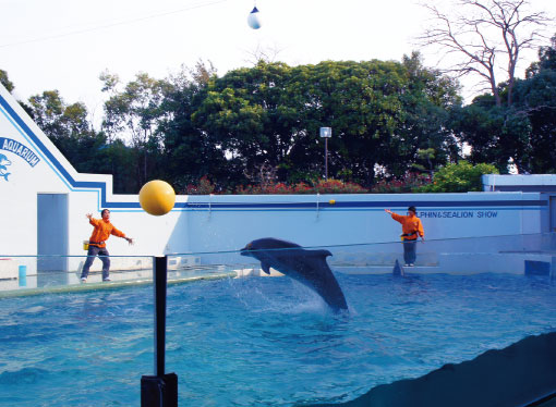 しながわ水族館