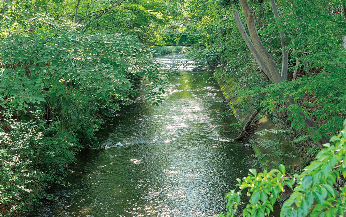 玉川上水