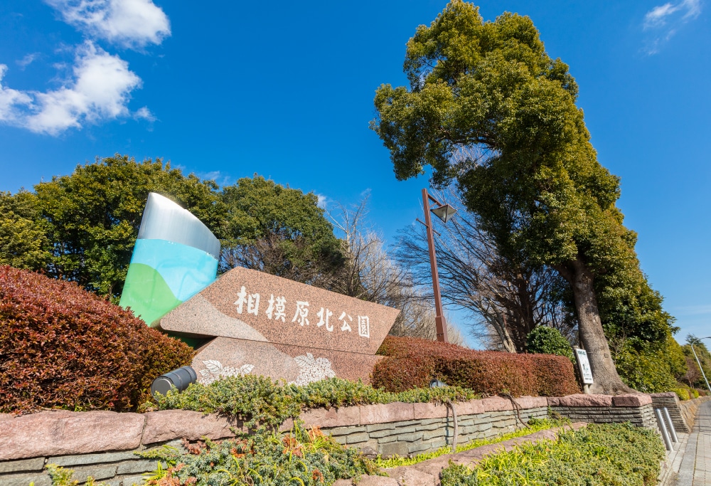 相模原北公園