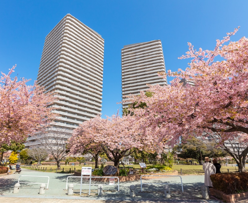 橋本公園 