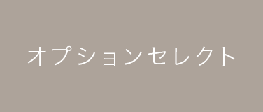 02.有償オプション