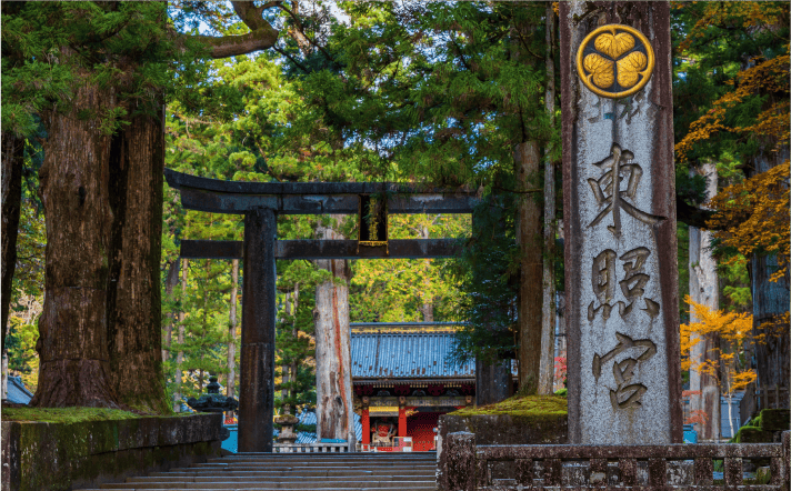 日光
