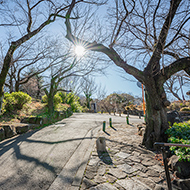 大倉山公園