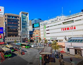 KINSHICHO