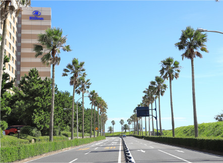 MAIHAMA