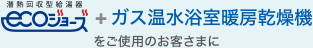 ecoショース