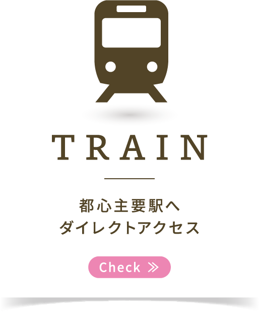 TRAIN