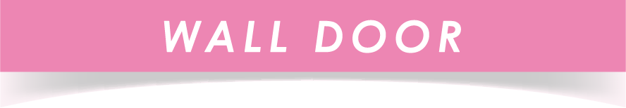 WALL DOOR